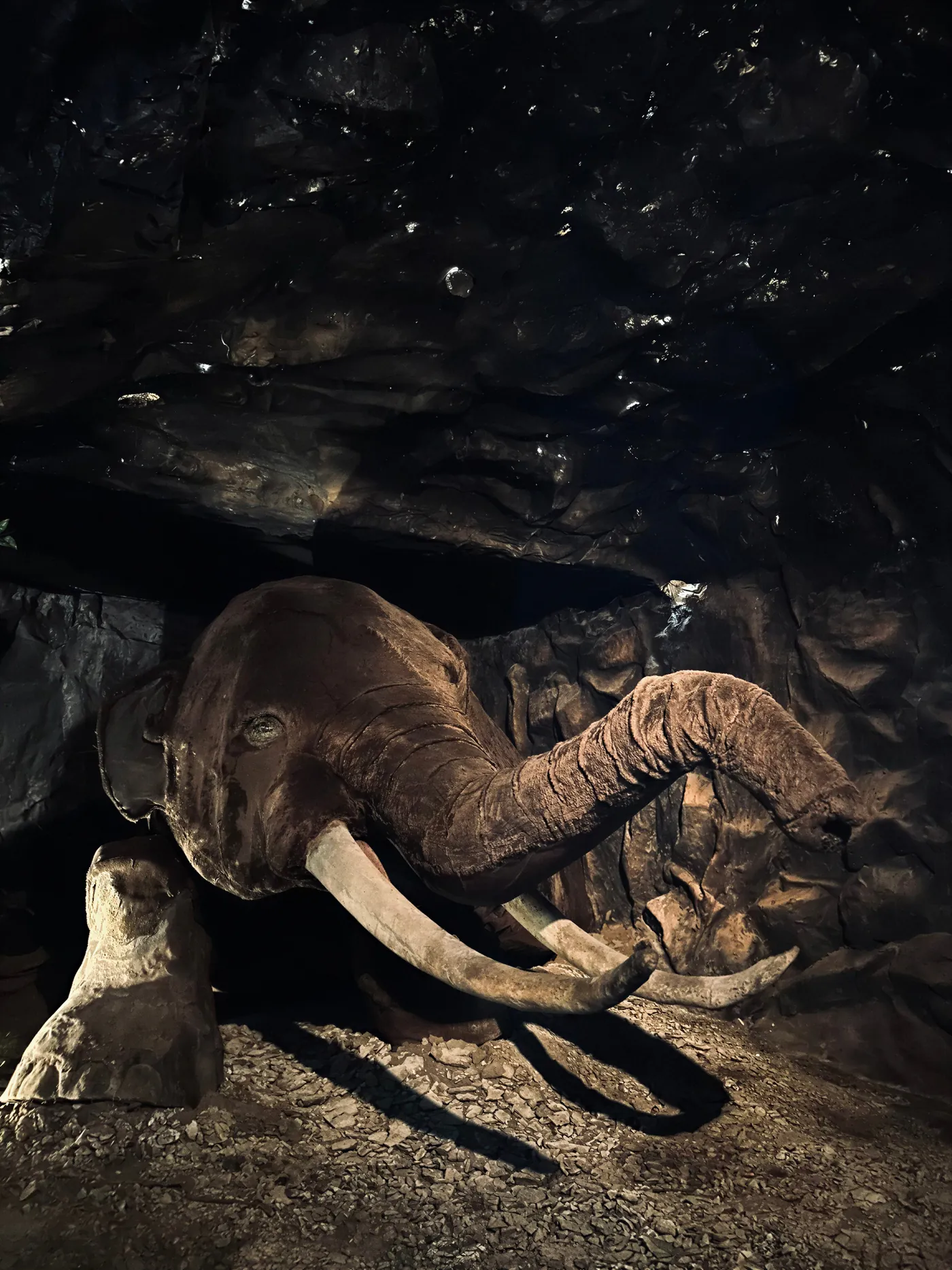 Reconstrução de um mastodonte com presas longas saindo de uma caverna escura, iluminada por um foco de luz.